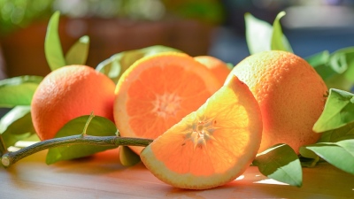 枳實(shí)提取物——辛弗林