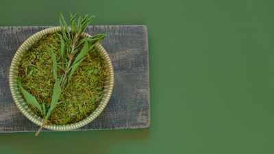 替代蔗糖的新選擇——甜葉菊提取物甜菊糖苷