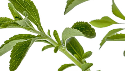 零卡、甜而無(wú)糖的享受——甜葉菊提取物甜味劑