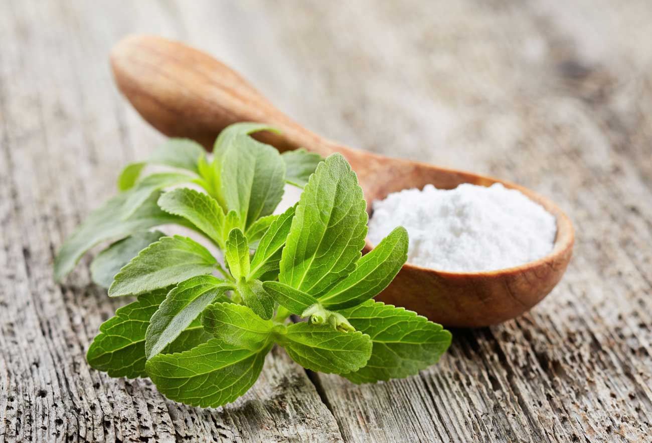 stevia-plant