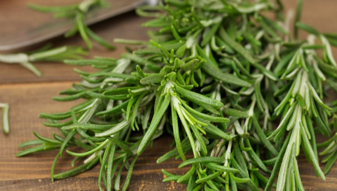 迷迭香提取物的多重優(yōu)勢