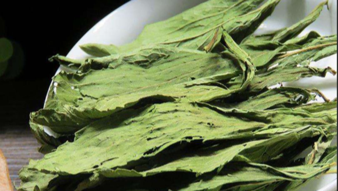 甜葉菊提取物的特性和應用