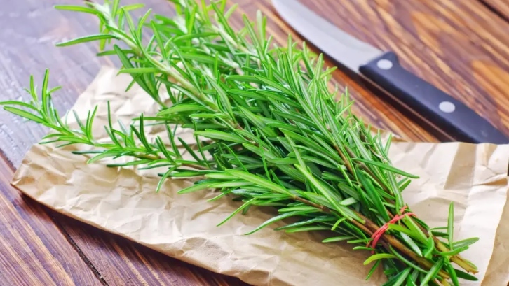 熊果酸的多種妙用！一種具有潛力的天然化合物