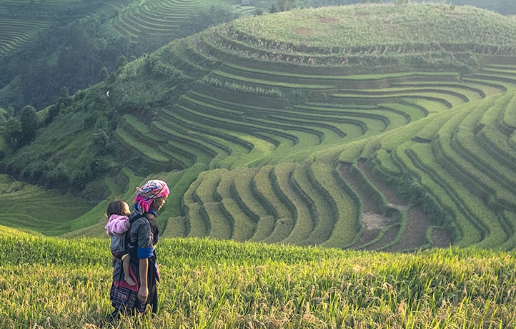 立冬了，用迷迭香提取物給你的身心一份溫暖