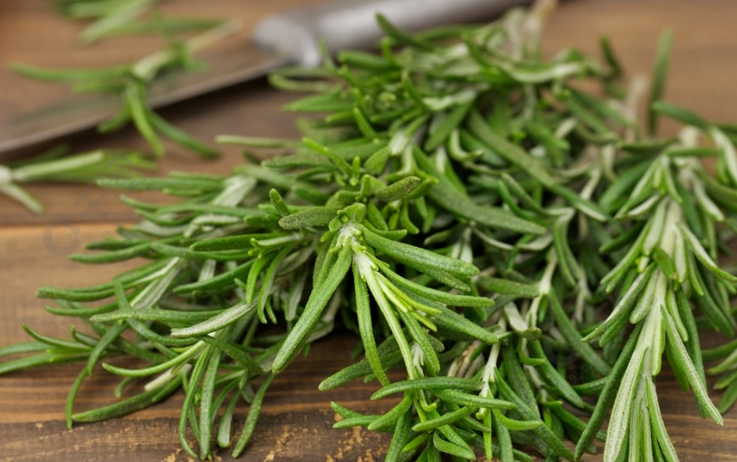 甜葉菊提取物：擁抱自然的甜味劑