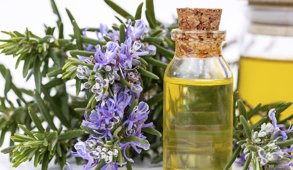 微信截圖_20231116110250