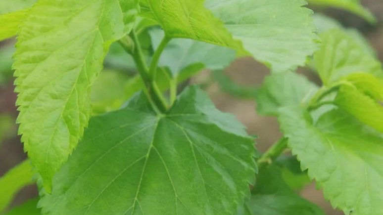 微信截圖_20231212100609