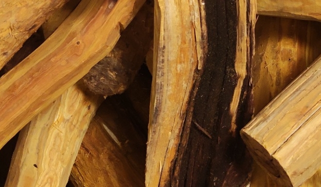 漆黃素在健康食品中的專(zhuān)業(yè)應用